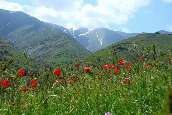 1 Day Tour to Shakhrisabz: Motherland of Amir Temur - Sultan Saodat and the religious side of the city