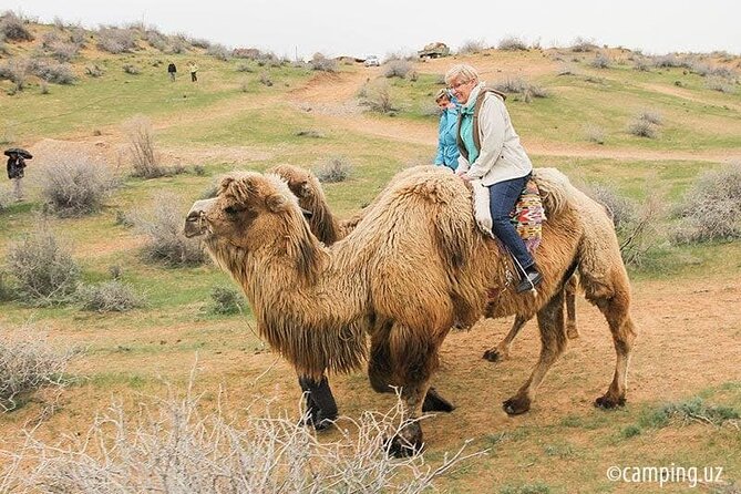 2 Days of Tour in Yurt Camp and Aydarkul - Aydarkul Lake and the desert change of scene