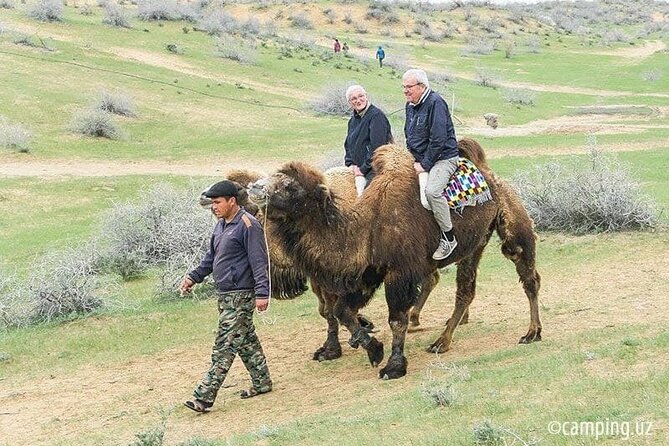 2 Days of Tour in Yurt Camp and Aydarkul - The second morning: camp to Bukhara