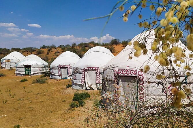 2 Days Private Safari Tour from Bukhara - Reaching the yurt camp near Aydarkul
