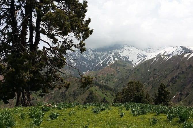 3-Day Chimgan Trekking Tour - Leaving Tashkent for the Chimgan mountains