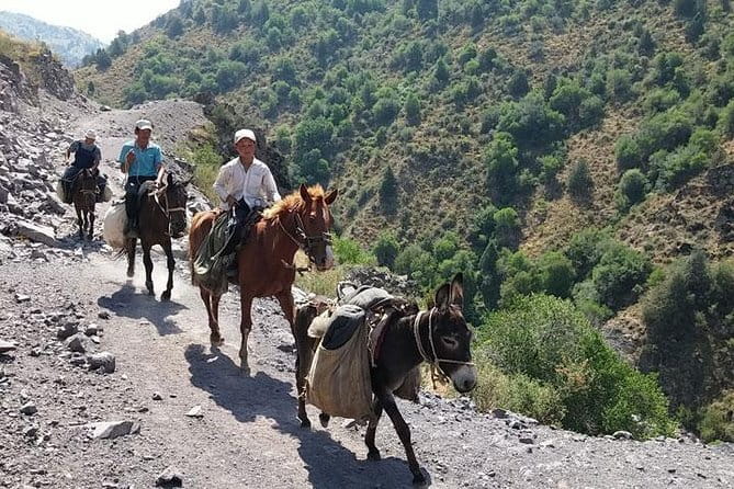 3-Day Chimgan Trekking Tour - Day 2: Chetkumbel, Kubmel, and high mountain petroglyphs