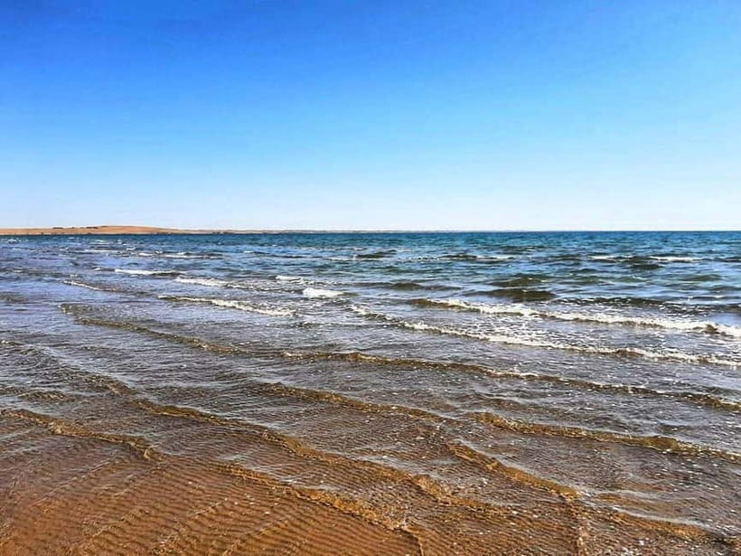 Adventure to Desert Kyzyl Kum and Yurt Camp - Day two: camels and Aydarkul Lake