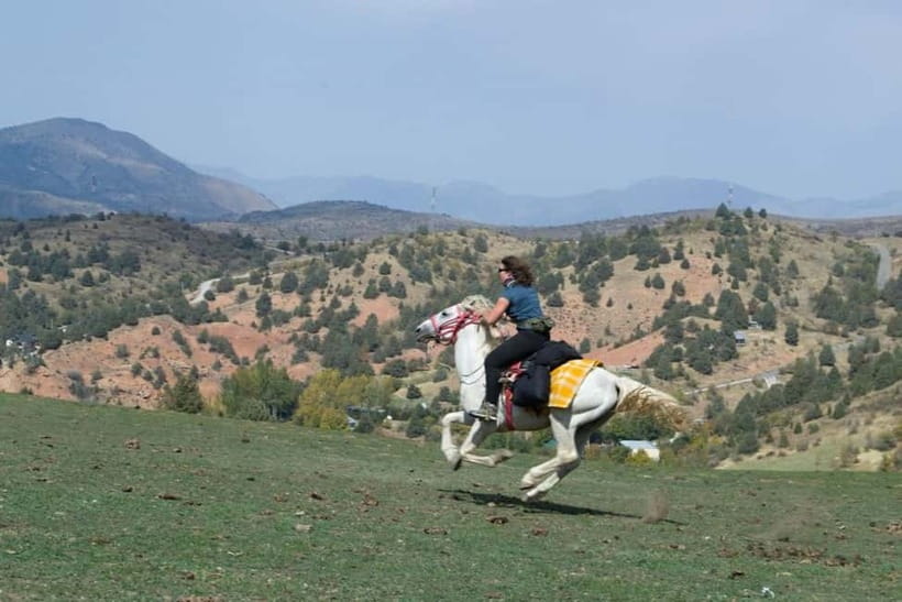 Amirsoy, Chimgan & Charvak Full-Day Adventure - Who should book this mountain day trip?