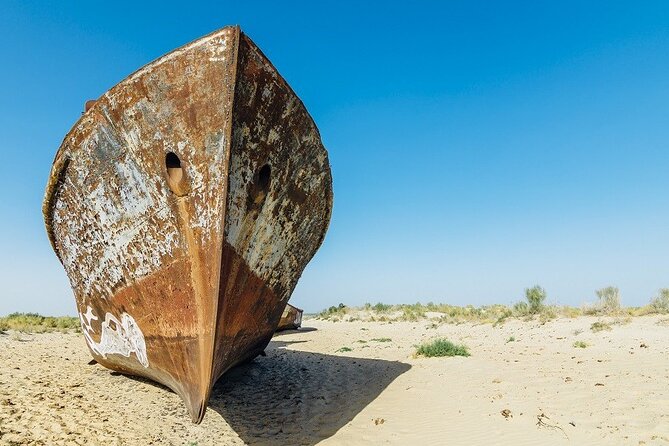 Aral Sea One Day Tour from Tashkent - Key points to know before booking