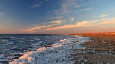 Aral Sea Tour from Nukus 1 night / 2 days