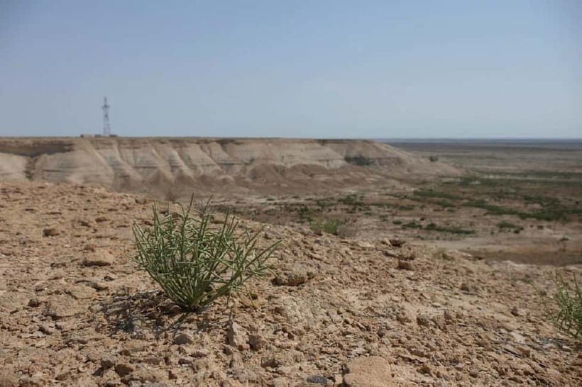 Aral Sea Tour from Nukus 1 night / 2 days - Guides, vehicles, and communication