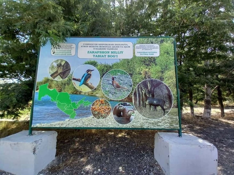 Bird Watching Tours in Samarkand - What the Guide and Equipment Add