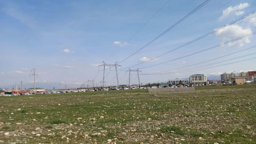 Bird Watching Tours in Samarkand - Seven Hours Outside, With a Few Timing Questions