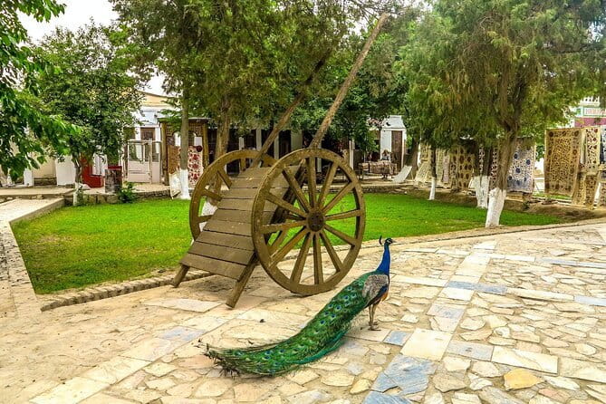 City Tour Around Bukhara - Mir-i-Arab and the madrasa tradition