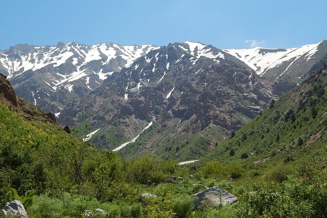 Day Tour to Shahrisabz of Amir Timur - Key points to know before you book