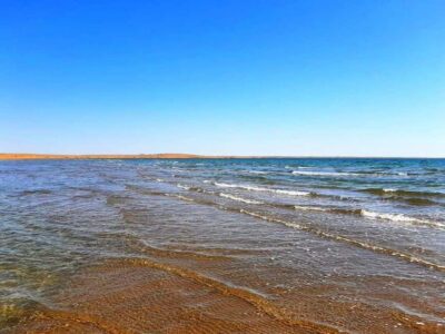 Desert Adventure from Samarkand: Yurt Camp & Aydarkul Escape