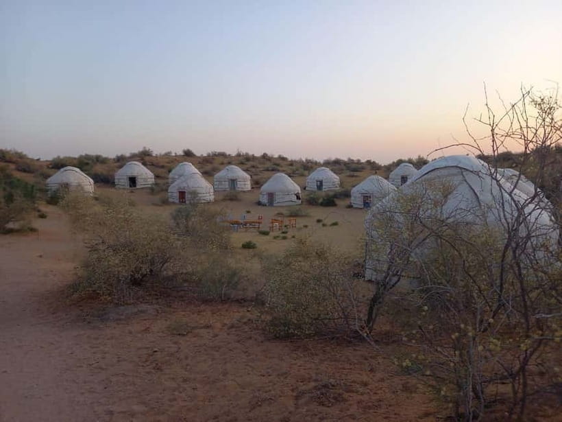 Desert Adventure from Samarkand: Yurt Camp & Aydarkul Escape - Dinner, Kazakh songs, and a desert night