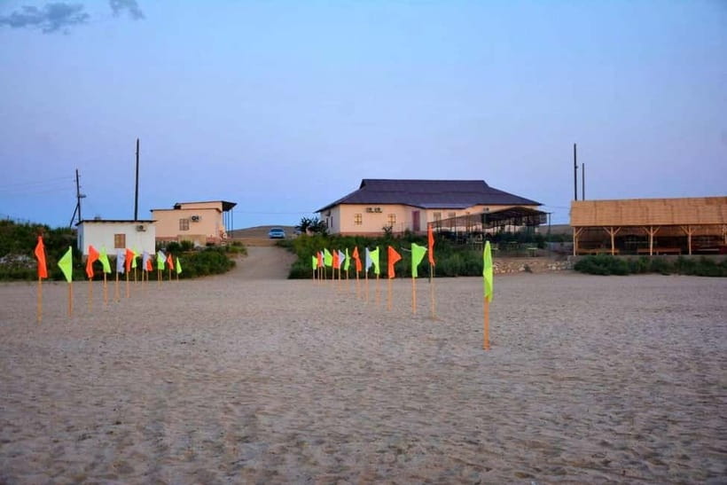 Desert Adventure from Samarkand: Yurt Camp & Aydarkul Escape - What the $200 price really covers