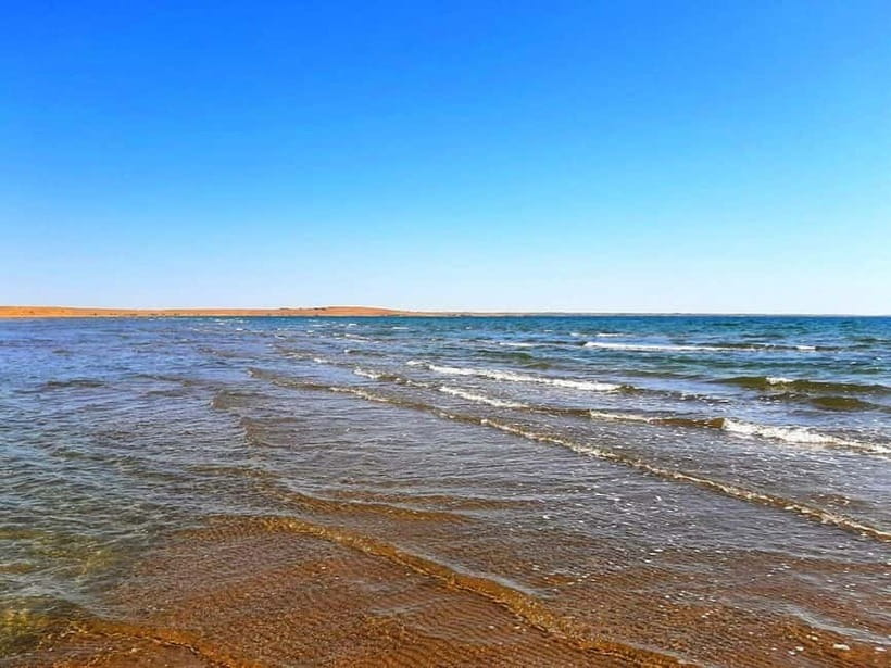 Desert Adventure from Samarkand: Yurt Camp & Aydarkul Escape - Aydarkul Lake brings water to the desert