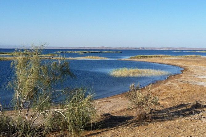 Desert Yurt Camp tour - 2 days (shared) - Day one: Bukhara to Nurata and the Kyzylkum
