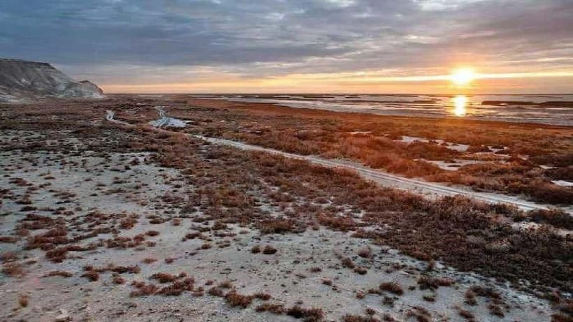 From Khiva To Aral Sea 2-Days One Night In Yurt Stay - A night at the Aral Sea yurt camp