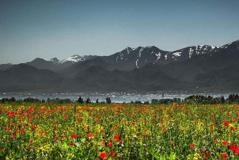 From Samarkand: Shahrisabz Day Trip & Mountain Pass Tour - Group tour or private car?