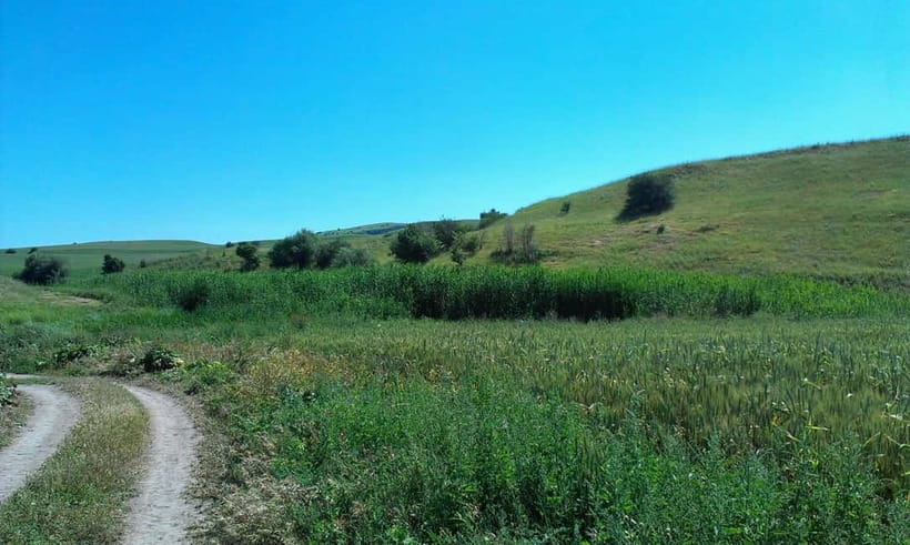 From Tashkent: Chimgan Valley Hiking Day Trip - Arriving in Chimgan and choosing your route
