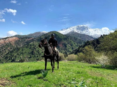 From Tashkent: Chimgan Valley Hiking Day Trip