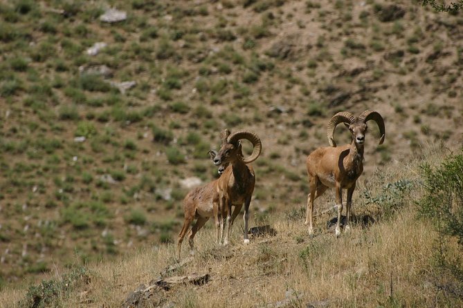 Hiking tour to Hayat, Uhum and Asraf villages – 4 days - Day 4: Eski Forish and the final transfer to Samarkand