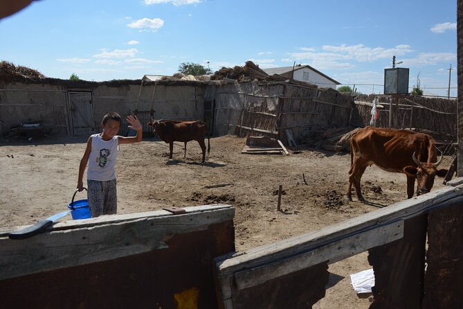 Kolkhoz: Private visit to the cotton farmers' village - Welcome tea and village life around 10 a.m.