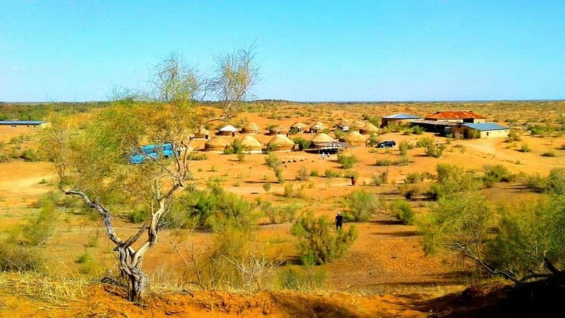 Kyzylkum Desert tour from Samarkand (1Night 2 Days) - The essential facts at a glance