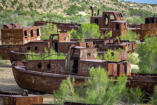 Muynak - "Ship Cemetery" Tour from Nukus - A Karakalpak family lunch makes the day more personal