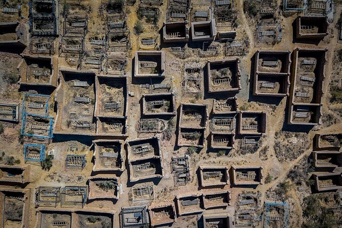 Muynak - "Ship Cemetery" Tour from Nukus - What $65 per person really buys