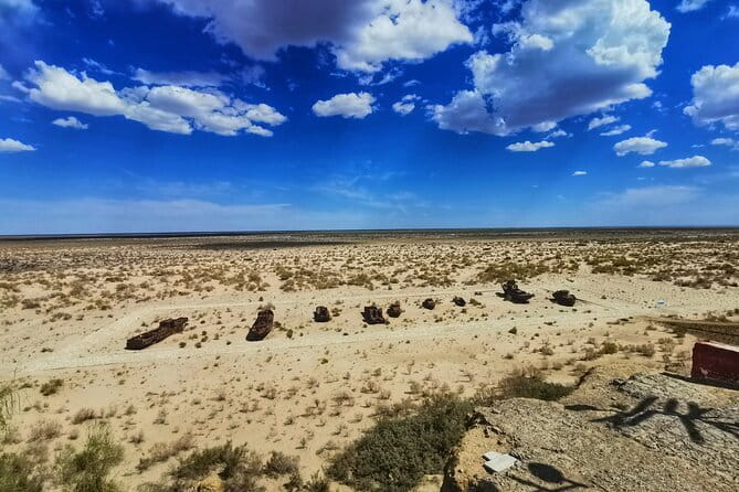 Private Daytrip to Muynak and Nukus - What the $299 group price really gives you
