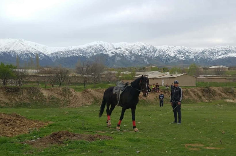Samarkand: Uloq-Kopkari (Buzkashi) Game Day Tour - The morning pickup from Samarkand
