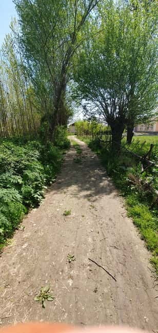 Samarkand: Village Tour with Plov Cooking Class & Home Visit - The best parts of this Samarkand countryside day
