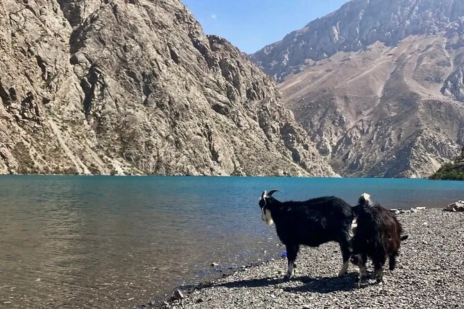 Seven Lakes Panjakent: One-Day Adventure from Samarkand - Who should book this day trip