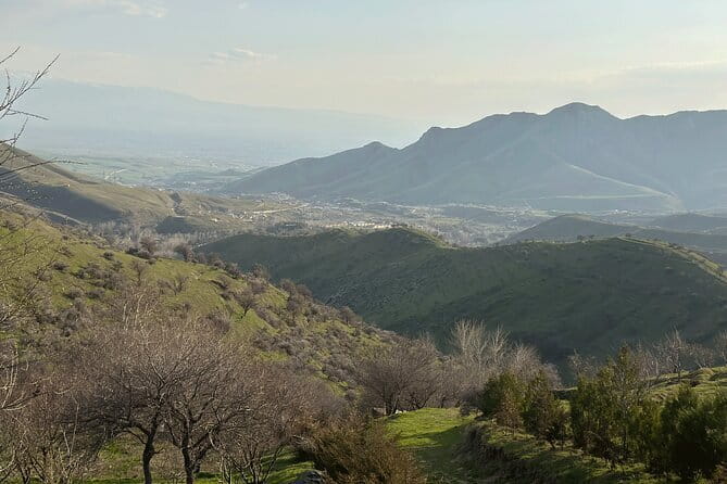 Shakhrisabz Private Day Tour from Samarkand - The private car makes the long route easier
