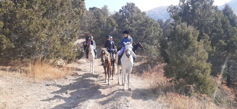 Tashkent: 3-Day Horseback Riding Tour in Chimgan Mountains - What Makes This Chimgan Horse Tour Special