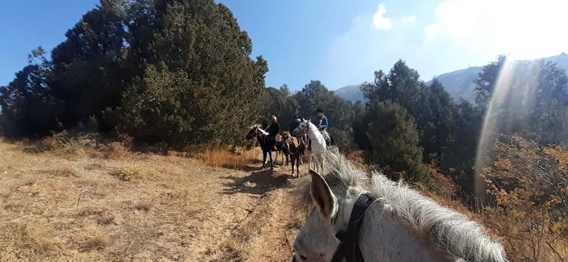 Tashkent: 3-Day Horseback Riding Tour in Chimgan Mountains - Day Two: Rivers, Bees, Chet Kumbel, and Open Meadows