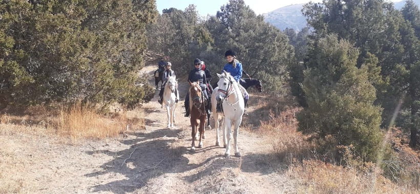 Tashkent: 3-Day Horseback Riding Tour in Chimgan Mountains - What the First Camp Means for Comfort