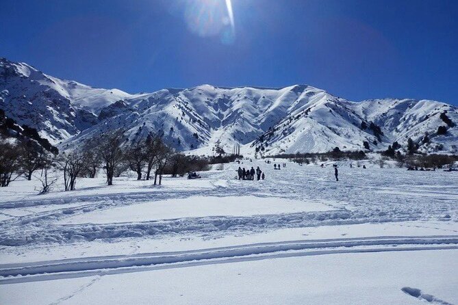 Tashkent Mountain Tour Amirsoy with Transport - Should you book the Amirsoy, Chimgan, and Charvak tour?