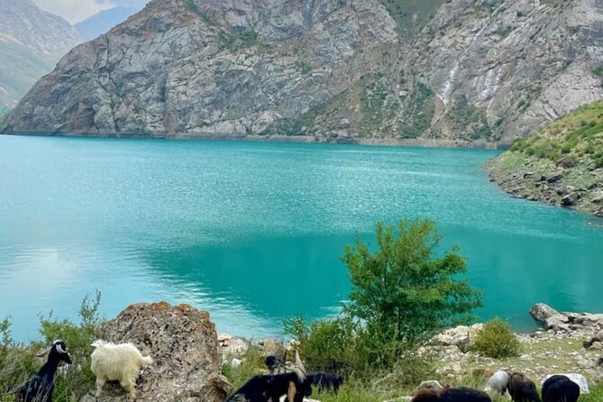 Tashkent Tour at Amirsoy, Chimgan Mountains and Charvak lake - Key points before you book