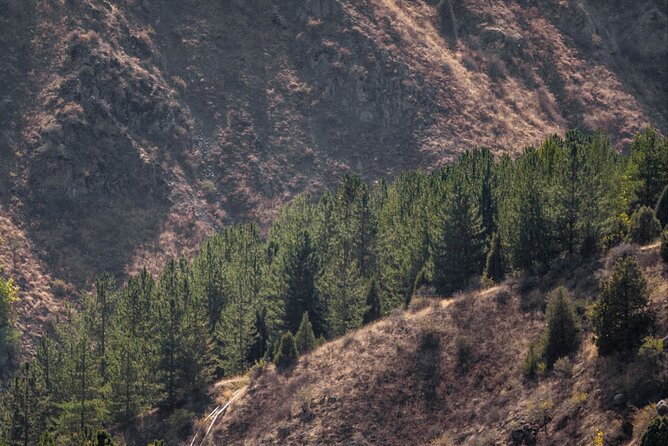 Tashkent Tour at Amirsoy, Chimgan Mountains and Charvak lake - Charvak Lake and the best photo stops