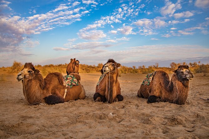 Transfer from Khiva to Bukhara by Fortresses - Why this Khiva to Bukhara route is special