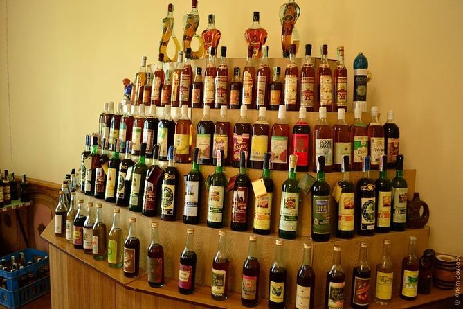 Wine Tasting Tour in Samarkand - Who will enjoy this Samarkand activity?