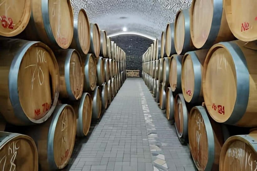 Wine tour in Samarkand (Baguizagan) English - Key points to know before you book
