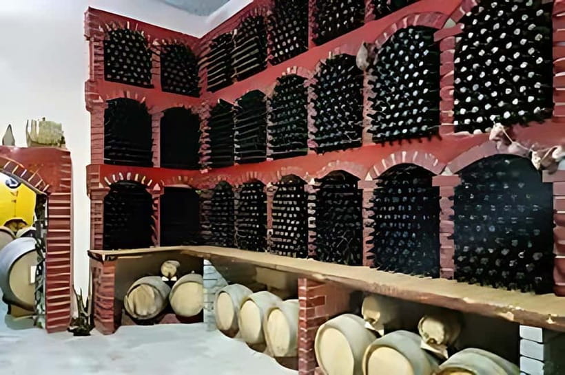 Wine tour in Samarkand (Baguizagan) English - Why this Samarkand wine visit is worth your time