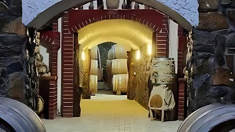 Wine tour in Samarkand (Baguizagan) English - Buying rare wines after the tasting
